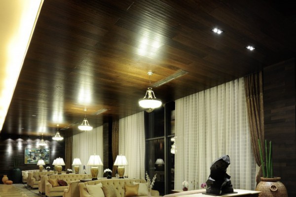 红馆SPA南京，休闲养生新选择(南京红馆spa在哪)-第1张图片-南京桑拿