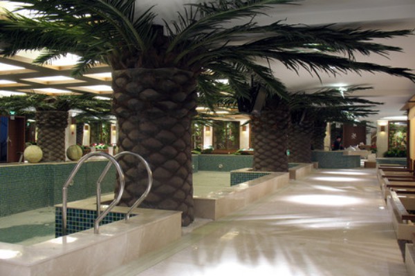 魅力南京，尊龙SPA休闲娱乐新天地(南京尊龙spa怎么样)-第1张图片-南京桑拿